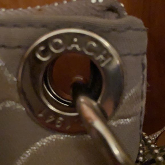 Silver Coach - Picture 3 of 11